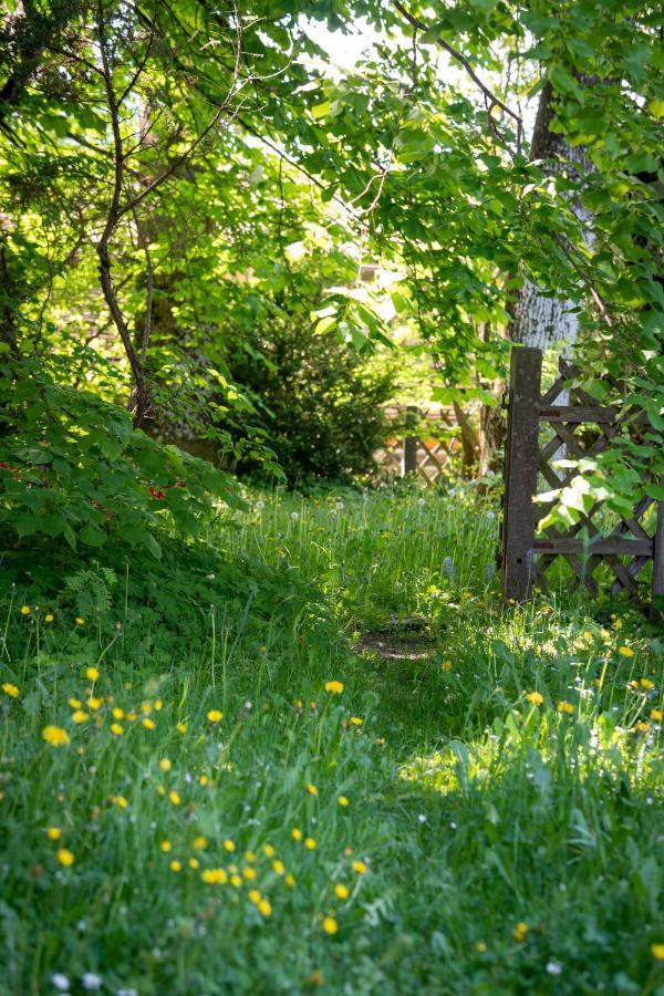 Landhauswohnung Mit Wildromantischem Garten Füssen Exteriör bild